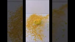 |🕸️страшная история|🌙отец🔪|