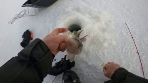 ТОП 5 САМЫЕ ЛУЧШИЕ ЗИМНИЕ ПРИМАНКИ на СУДАКА и ЩУКУ! Новинки сезона 2025-2026. Подводная съемка