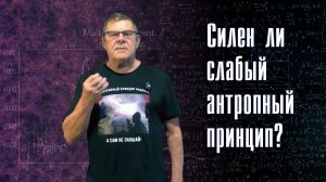 Борис Штерн. Силен ли слабый антропный принцип? Опять дешевая темная материя. Вопросы-ответы.