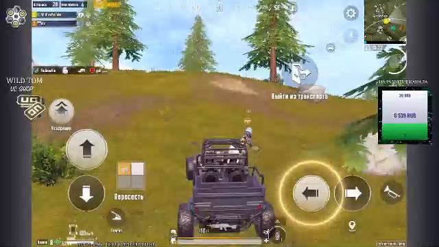 LIVE: WildTom_YouTube