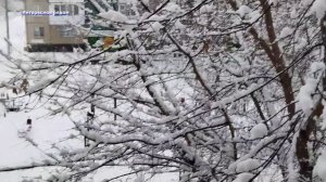 Снег в Челябинске ❄️