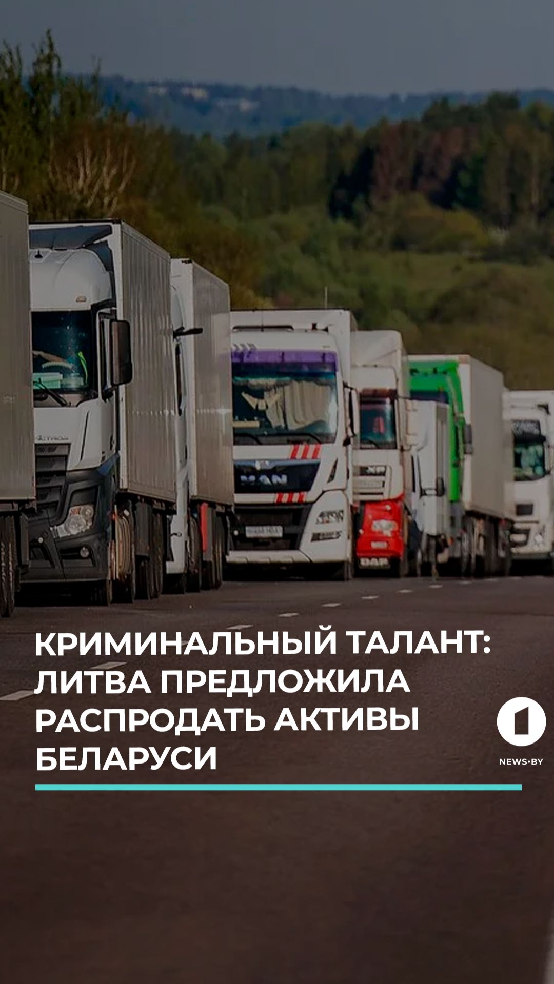 Криминальный талант. В Литве предложили использовать белорусские активы