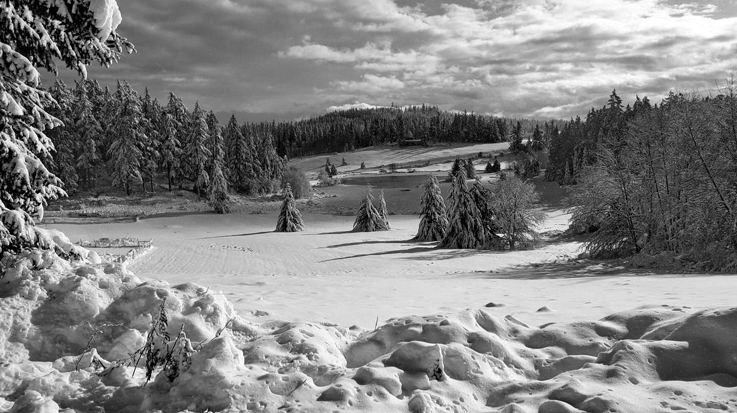 Когда весна придёт - не знаю