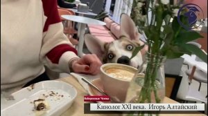 Игорь Алтайский СОЦИАЛИЗАЦИЯ ДВОРЯНИНА