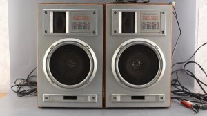 АКУСТИЧЕСКАЯ СИСТЕМА 15АС 220