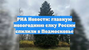 РИА Новости: главную новогоднюю елку России спилили в Подмосковье