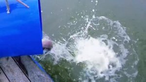 запуск 08.12.25