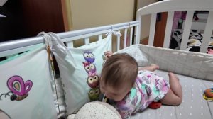 Знакомство с семьёй