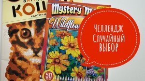 Челлендж Случайный выбор