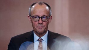 Мерц подал 5 тысяч исков об оскорблении достоинства