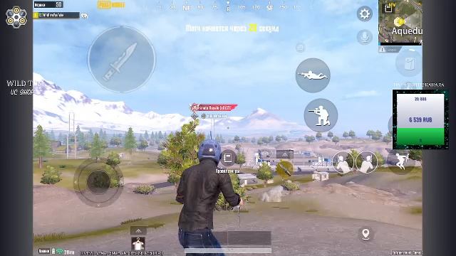 LIVE: WildTom_YouTube