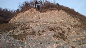 VID_20251125_160522 ГОРА ОЛЬГИНКА