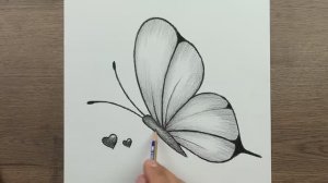 Легкий рисунок бабочки, как нарисовать бабочку карандашом — Для начинающих