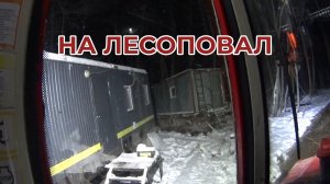 На Лесоповал едем
