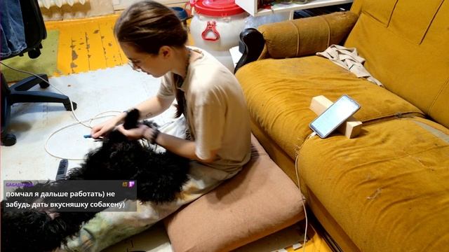 Сушу и вычесываю моего пса