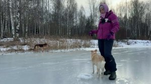 КАК УЙТИ ОТ НУЛЯ ПРИ ЛОВЛЕ НА БАЛАНСИР ! Рыбачим и готовим еду прямо льду!