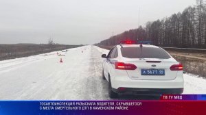 Госавтоинспекция разыскала водителя, скрывшегося с места смертельного ДТП в Каменском районе