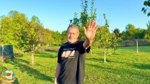 Готовимся к переезду. Неожиданный урожай грибов рядом с домом.