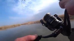 РЫБЫ ТОННЫ - ЛОВЯТ ВСЕ!!! РЫБАЛКА НА СУДАКА ВЕСНОЙ