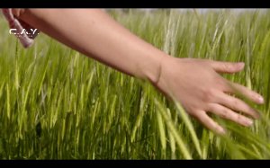 Stream (Progressive House, Progressive Trance, Melodic House)