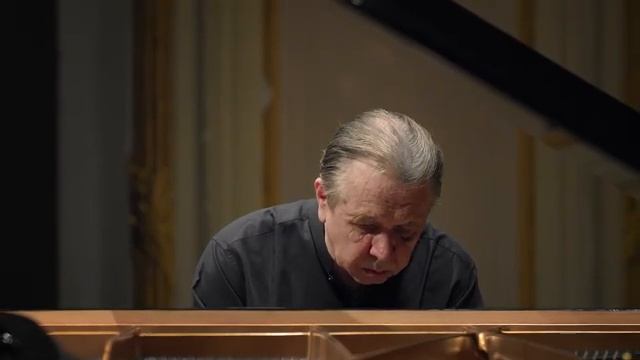 Шопен Прелюдия ре-бемоль мажор № 15 соч. 28 - Михаил Плетнев смотреть онлайн