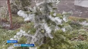 Вести. Ставропольский край» 8.12.2025 (9.30)