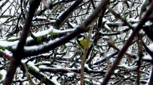 Сегодня за окном. 8 декабря 2025 года.