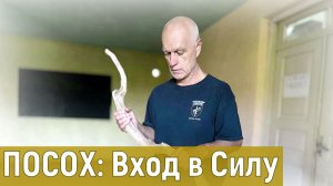 Посох и Тело Воли: как перейти в Мир Силы и убрать физическое тело | Занятие #6
