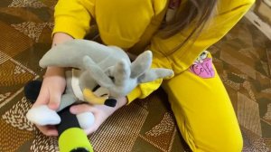 Соник Шедоу и Сильвер в качалке