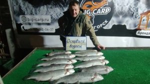 Улов за ночь