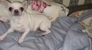 Чудесного и доброго всем утречка.