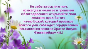 Общее собрание 7.12.2025