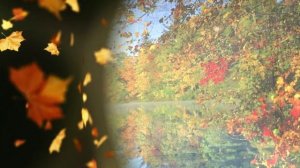 Чтоб любоваться им веками