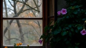 За окном листопад