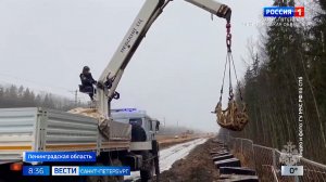 Вести Санкт-Петербург. Выпуск 08.35 от 08.12.2025