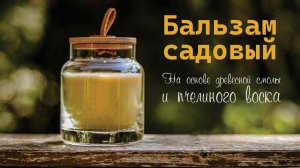 Бальзам садовый, своими руками.