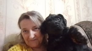 08-12-2025 подготовка к Новому году/моё видео из архива Альбины/комментарии🎄🎄🎄🎄🎄🎄