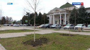 В Нальчике завершили высадку 700 деревьев с высокой приживаемостью
