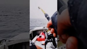 р.Свирь лещ в непогоду.