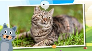 РАЗВИВАЮЩИЙ МУЛЬТИК ДЛЯ ДЕТЕЙ