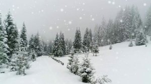 Аля  Чинина  -  Падает снег