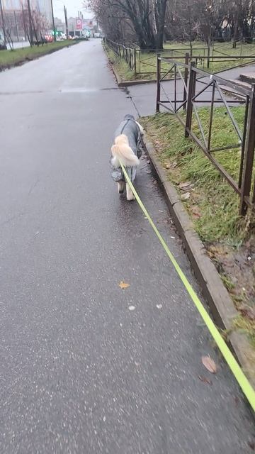 Идём в Солодофф