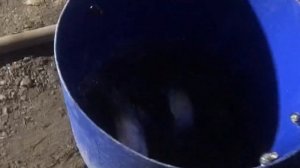 привоз новой партии форели на водоём