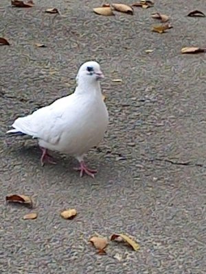 Продолжение следует