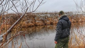 РЫБАЛКА В ДЕКАБРЕ НА ПОПЛАВОК! ДАЖЕ НЕ ОЖИДАЛ ТАКОГО!