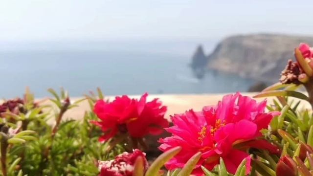 Молитва 7 Его сомнения. Молитвы за мужа из книги Сторми Омартиан "Сила молящейся жены".