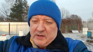 Обстановка на пасеке 10 декабря. Не было печали - купил пчеловод бакфаст