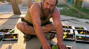 Заброшенные новые технологии