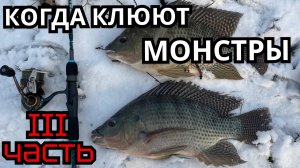 ЛУЧШАЯ РЫБАЛКА 2025 !!! 3 ЧАСТЬ!!!  ЛОВЛЯ ТРОФЕЙНОЙ ТЕЛЯПИИ !!!