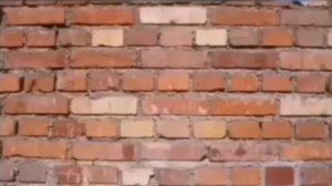 Фрагмент эфира + промо канала перец (ДТВ 16.10.2023)